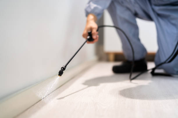 Licensed Termite Control service in Montmorency County County, MI - Nex Pest Control