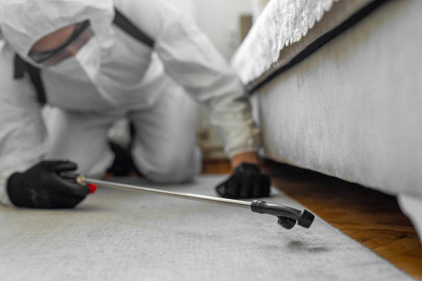 Professional Termite Control technician working in Montmorency County County, MI